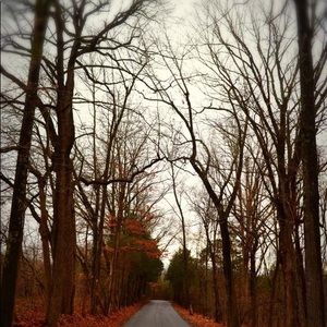 Meet your Posher, Cassandra